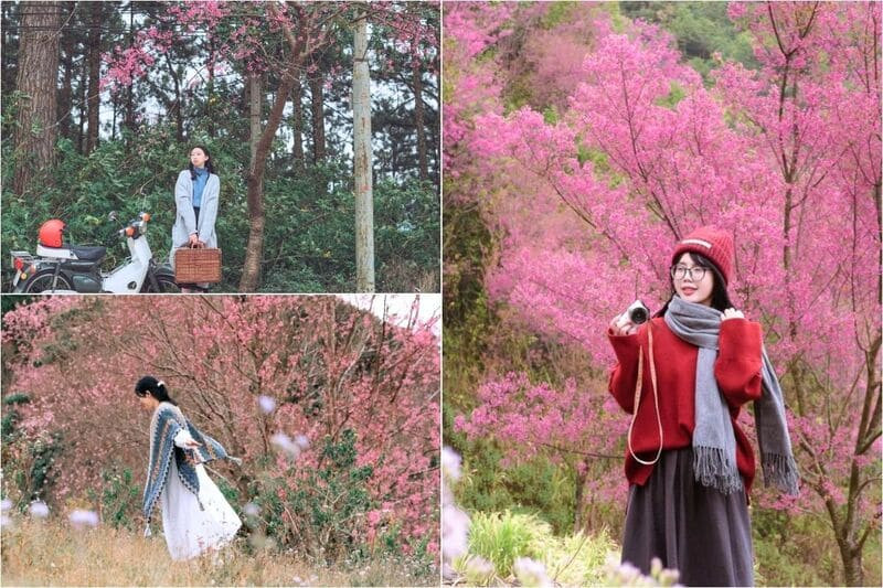 Khoe trọn outfit trên nền hồng của sắc hoa (Ảnh: Sưu tầm)