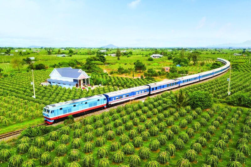 Đi tàu qua những vườn thanh long Đi tàu qua những vườn thanh long (Ảnh: Sưu tầm)