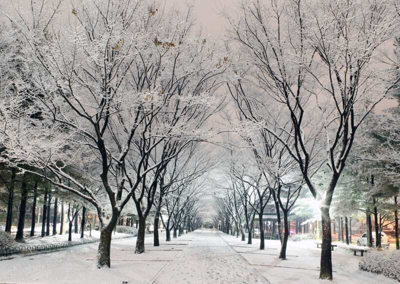 Mùa đông Hàn Quốc 
