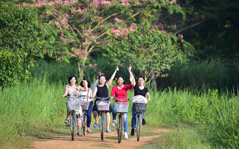 Nên lựa chọn cái nào là hợp lý nhất