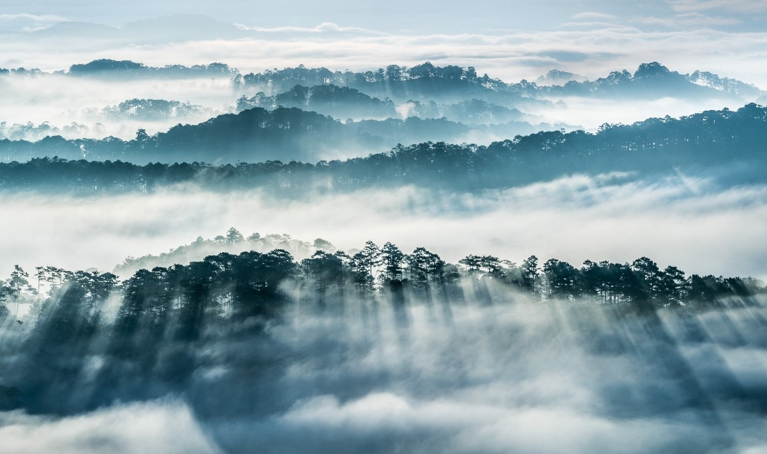 Du lịch Đà Lạt Tết đừng nên bỏ lỡ những địa điểm “săn mây” cực chất - ảnh 3