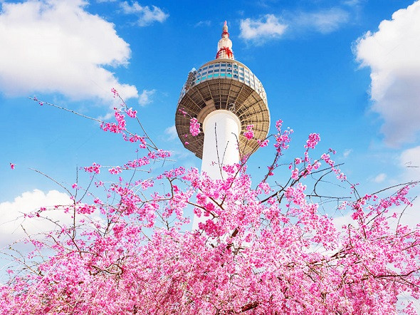Du lịch Hàn Quốc mùa hoa anh đào và hơn thế nữa - Tháp Namsan