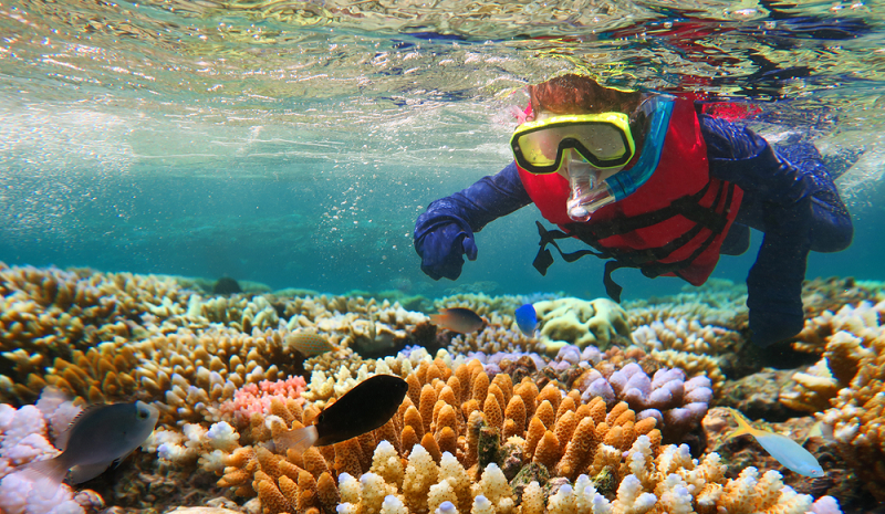 Rặng san hô Great Barrier Reef