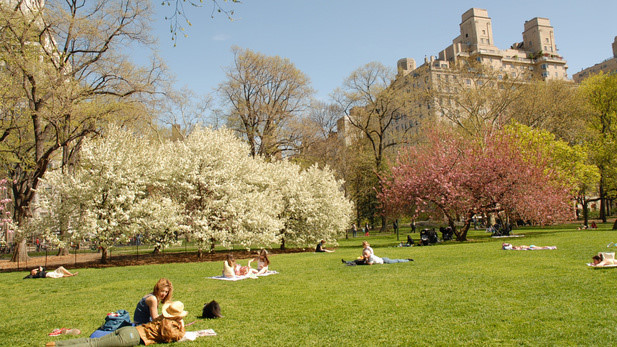 Khám phá "lá phổi xanh" của thành phố New York - Central Park - ảnh 4