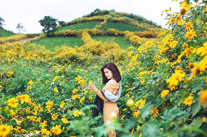 In October, Gia Lai tourism was free to check-in with brilliant yellow flowers - photo 5