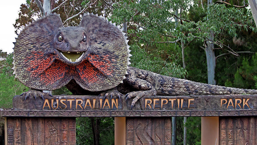 Công viên Australian Reptile - Nơi quy tụ cả thế giới động vật