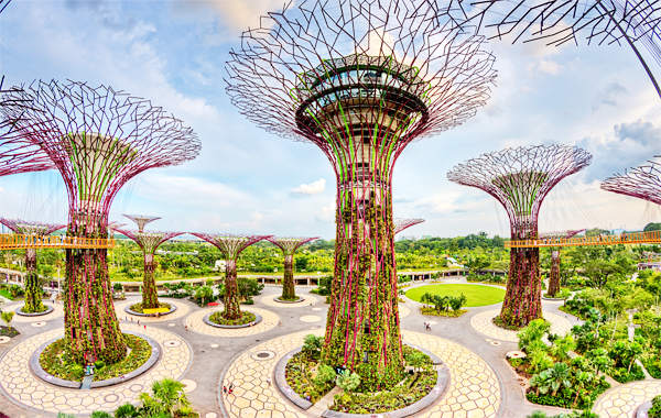 Top 3 địa điểm check in lý tưởng khi du lịch Singapore - Garden by the Bay