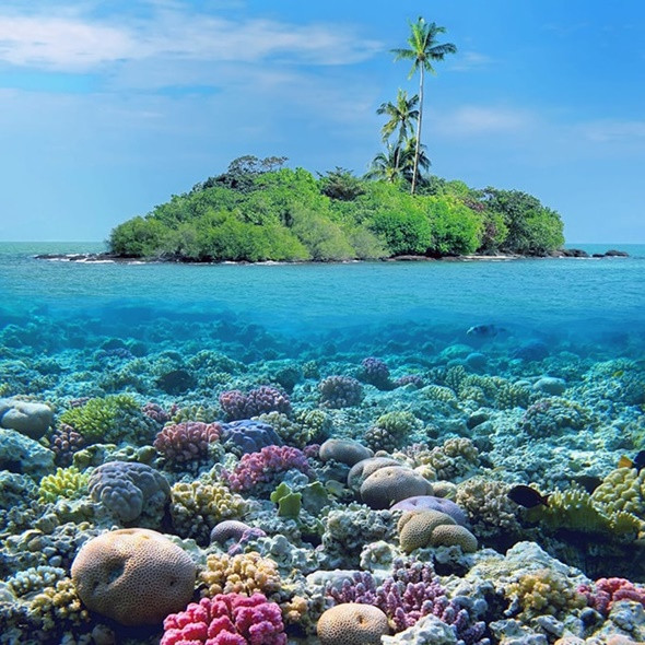 Top 5 Điểm Đến Cực Hot Tại Thái Lan - Đảo san hô 