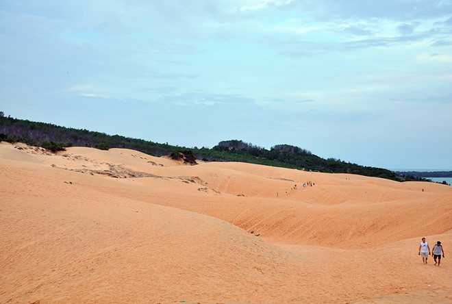 Khám phá đồi cát bay – trải nghiệm thú vị tại Phan Thiết - Đồi cát bay