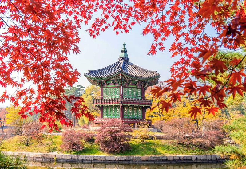 Những lý do sau chắc chắn khiến bạn muốn du lịch Hàn Quốc vào mùa thu - Ảnh 3