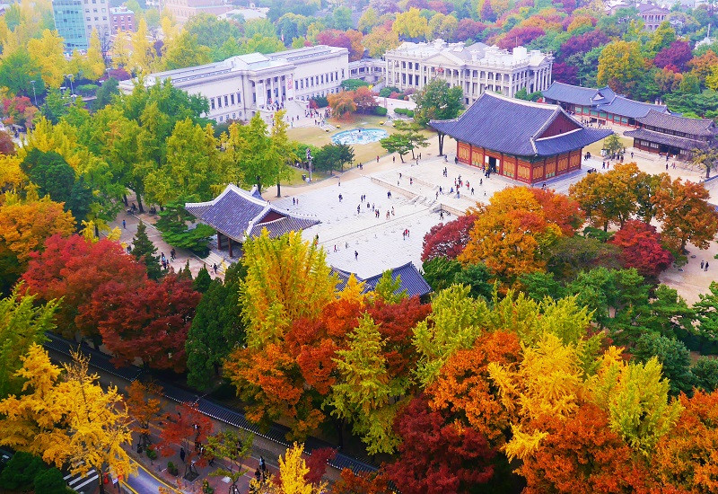Những lý do sau chắc chắn khiến bạn muốn du lịch Hàn Quốc vào mùa thu - Ảnh 2