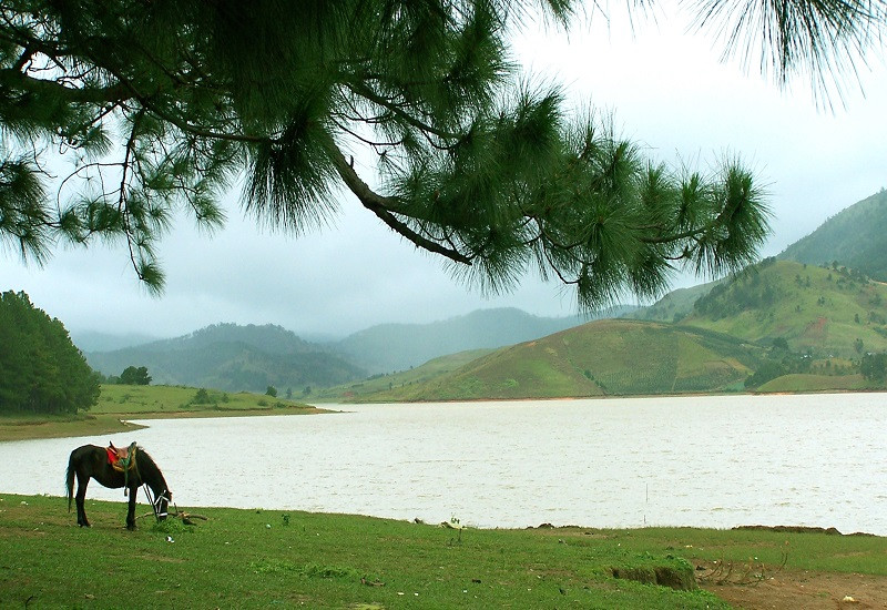 Du lịch Đà Lạt: Lặng ngắm những hồ nước đẹp nhất Tây Nguyên - ảnh 5