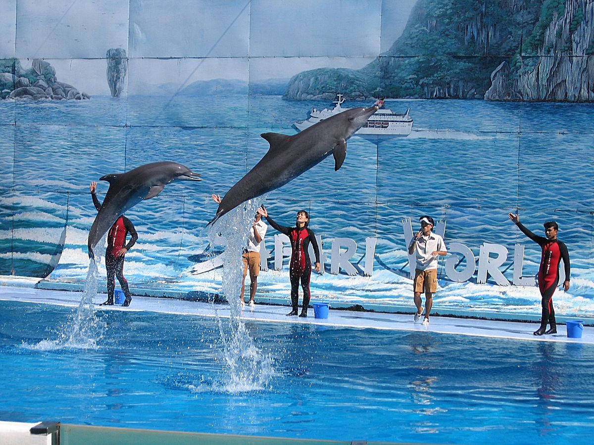 Ưu đãi hấp dẫn dành cho tour VIV Asia 2019: BangKok - Pattaya (5N4Đ) - Safari World Ưu đãi hấp dẫn dành cho tour VIV Asia 2019: BangKok - Pattaya (5N4Đ) - Safari World